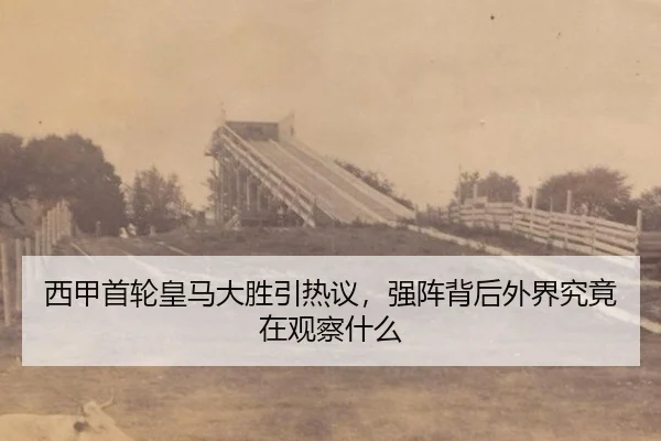 xi-jia-shou-lun-huang-ma-da-sheng-yin-re-yi-qiang-zhen-bei-hou-wai-jie-jiu-jing-zai-guan-cha-shen-me-2-210.jpg